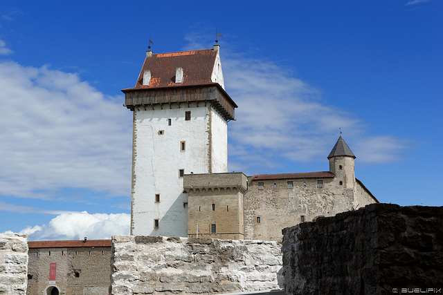 Hermann-Festung, Burg Narva (© Buelipix)