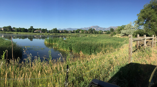 Sombrero Marsh