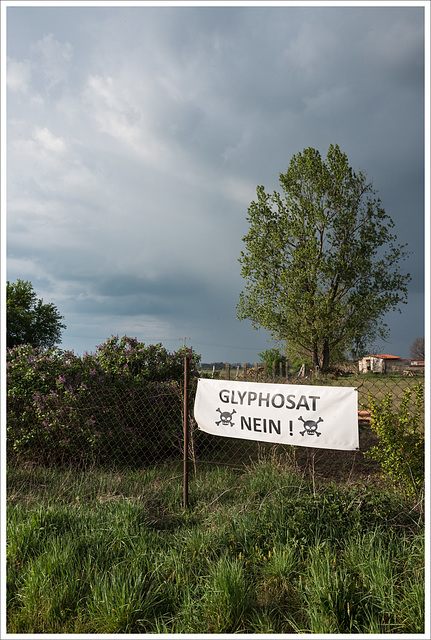 glyphosat