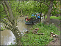 high water in Jericho