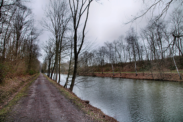 "Alte Fahrt" des Dortmund-Ems-Kanals (Olfen) / 19.02.2022