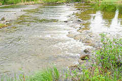 Waskesiu River riffles 2