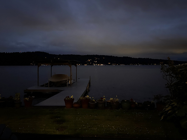 The shore of Lake Washington