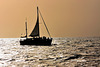 Sailing off the coast of Funchal, Madeira