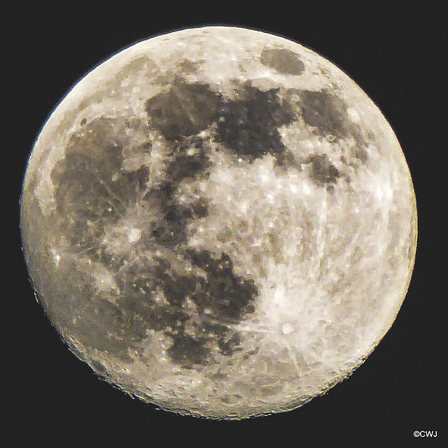 Waxig moon this evening 97%