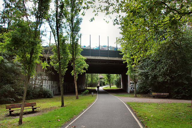 Radweg "Grüner Pfad", ehemals Trasse der Emschertalbahn (Duisburg-Neumühl) / 6.09.2020