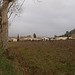 PC021043