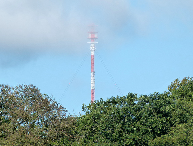 Sendemast bei Gartow