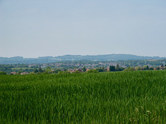 View from Blackberry Lane