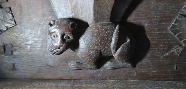 godmanchester church, hunts (7) late c15 misericord