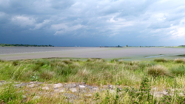 Elbe bei Glückstadt