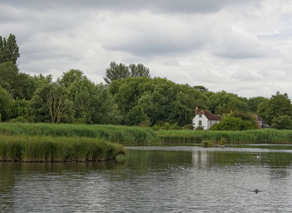 Peter Pond