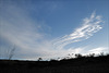 Penedos, Cistus and clouds flirt