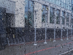 Journey in the Rain 7 Journey in the Rain 7