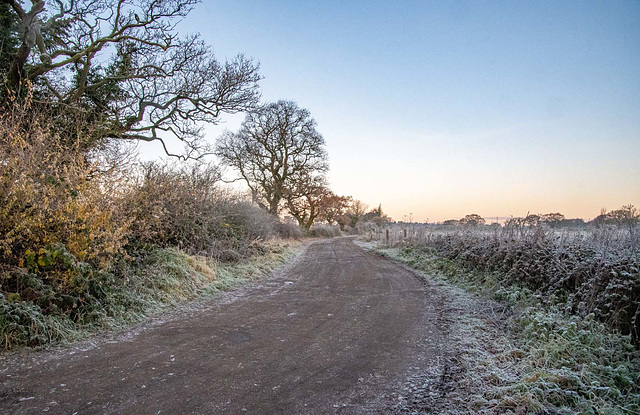 Landscape images from a walk this morning