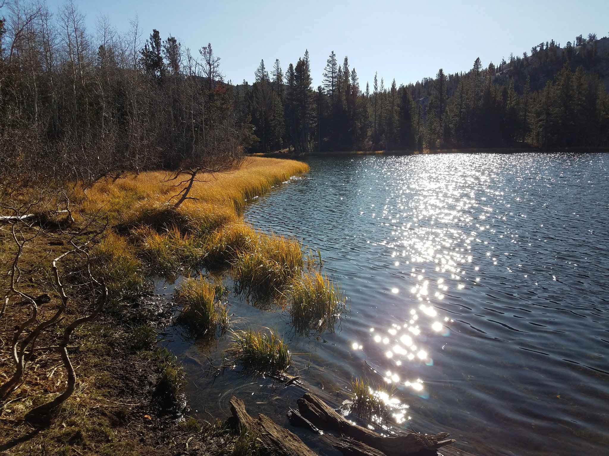 Tamarack Lake, Nevada