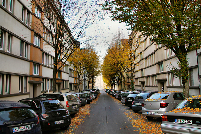 Vinckestraße (Dortmund-Innenstadt-West) / 8.11.2020