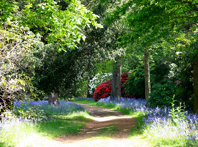 Bowood Rhododendron Gardens