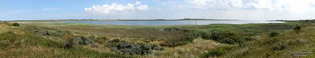Bike Netherlands/ Texel 1x PiP Bike Netherlands/ Texel 1x PiP
