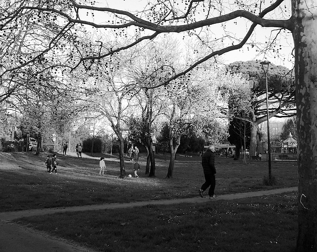 at the park