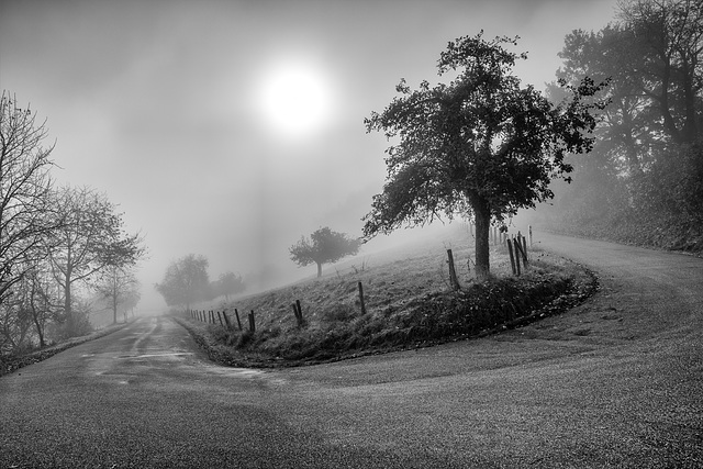 Herbstsonne - A Milky Fall Sun - HFF (135°)