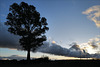 Penedos, Tree & Clouds