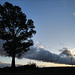 Penedos, Tree & Clouds