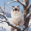 Le chat sur la branche enneigée***********IA-KI***********
