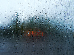 Journey in the Rain 6 Journey in the Rain 6