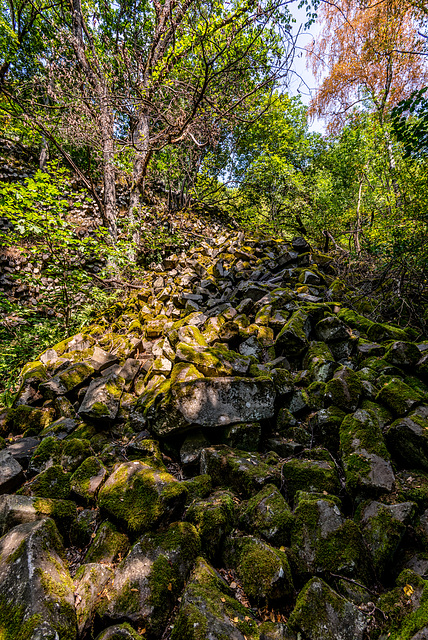 Basalt im Wald - 20150812