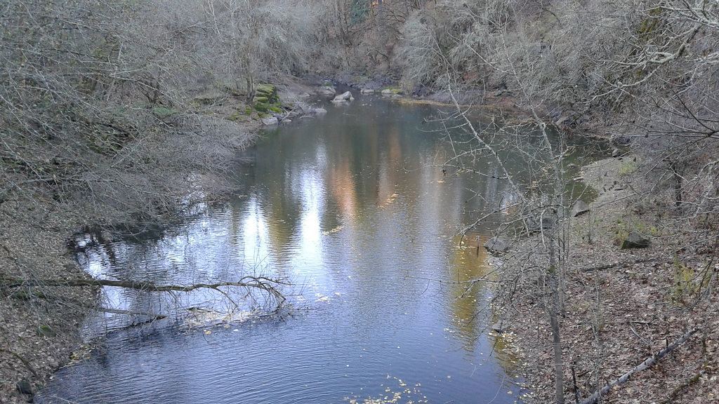 lake oswego pond