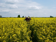 Footpath near Ratcliffe College