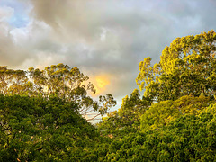 view from the Lanai