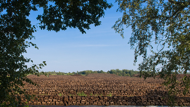 Torfabbau in Campemoor