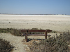 Lac salé