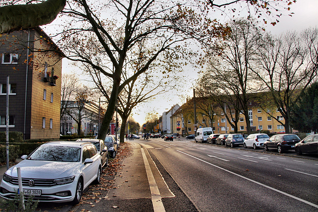 Wittekindstraße (Dortmund-Innenstadt-West) / 8.11.2020