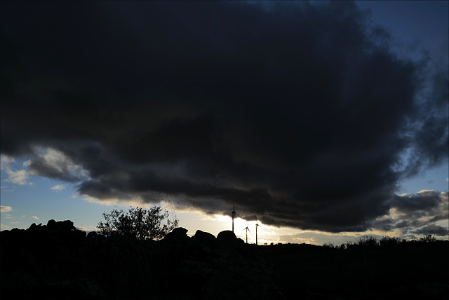 Penedos, Tree & Clouds