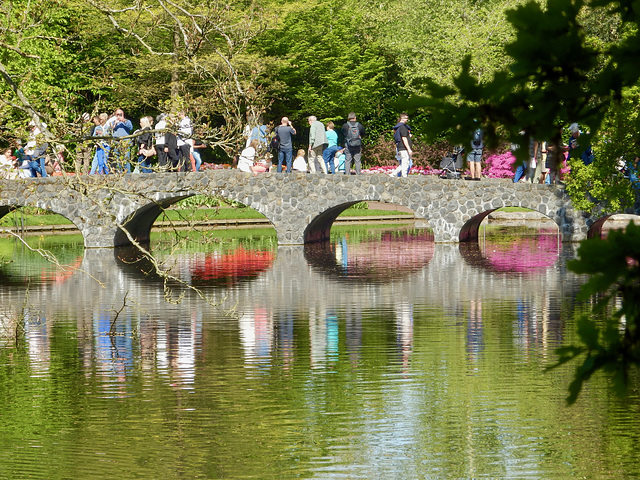 Reflections