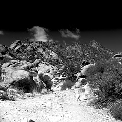 Mountain Trek