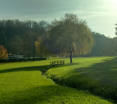 l'automne oh parc !