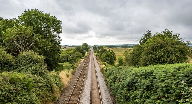 From the railway bridge Burton Wetlands