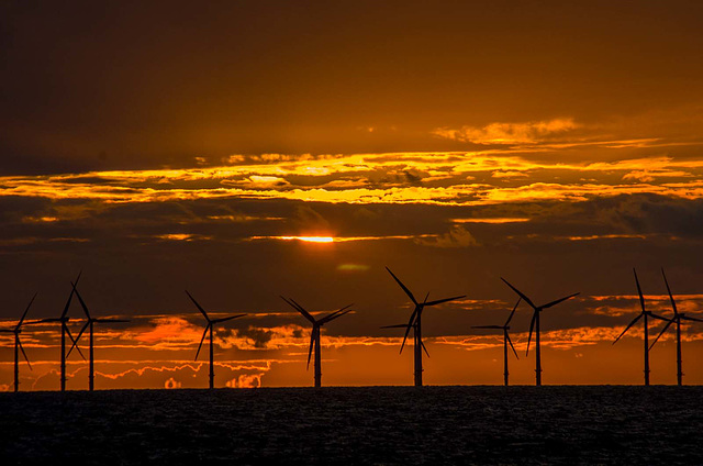 Sunset over the wind farm