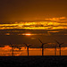 Sunset over the wind farm