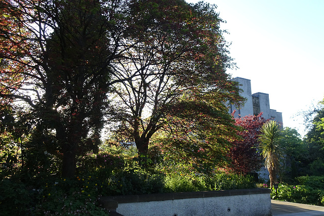 Spring Colours In Bellahouston Park