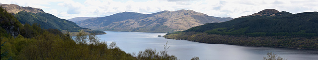 The pride of Loch Lomond