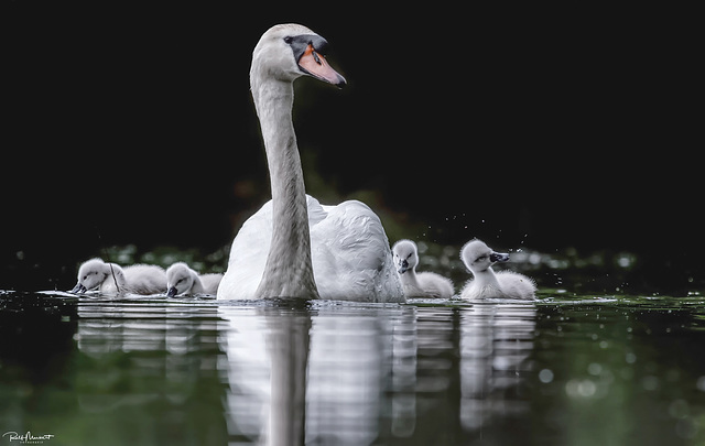 erster Familienausflug...