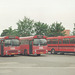 Buses at Knebel - 2 June 1988 (Ref: 69-09)