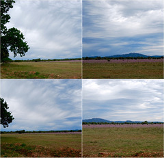 Regard vers les Alpilles