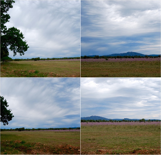 Regard vers les Alpilles