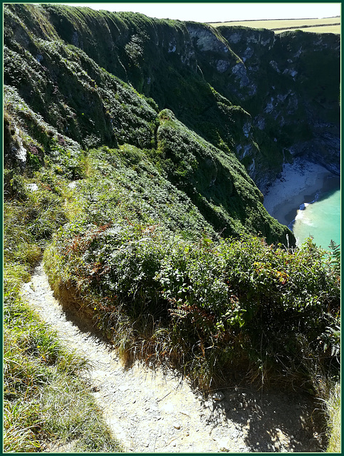 The VERY EASY path down to Fishing Cove.